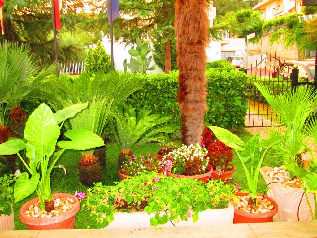 B&B Le Begonie Ascoli Piceno Cameră foto
